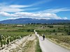 Provence - silniční cyklistika